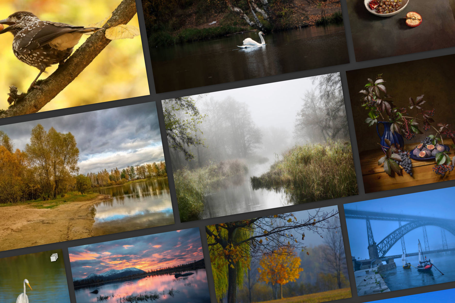 1761361435775-v7sx9hw